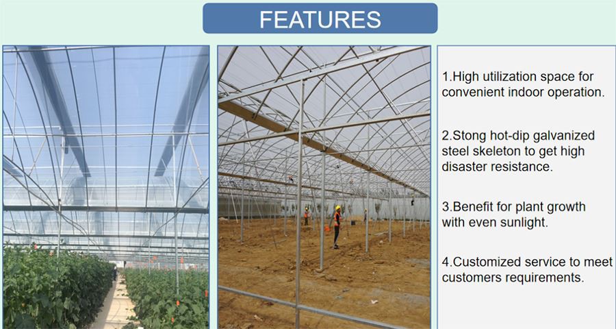plastic garden greenhouse factory