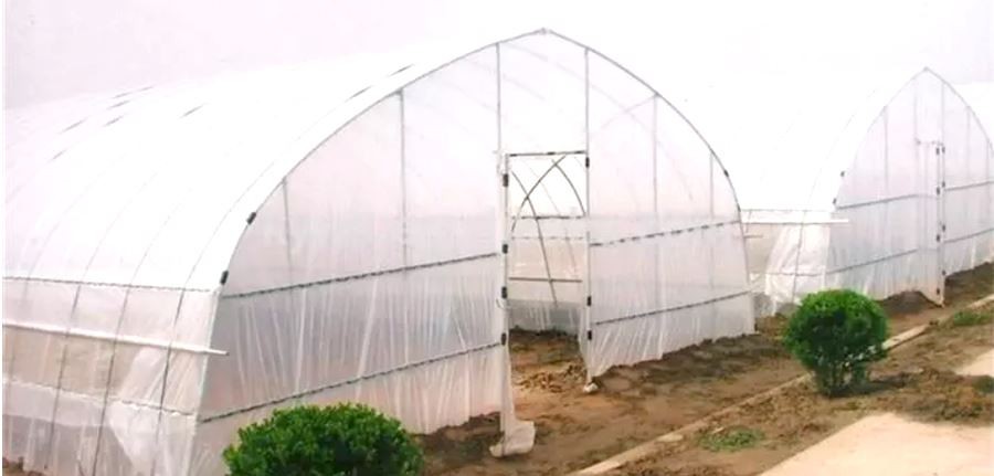 factory small polythene greenhouse