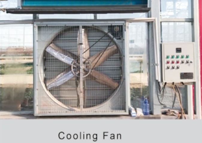 small polythene greenhouse manufacture