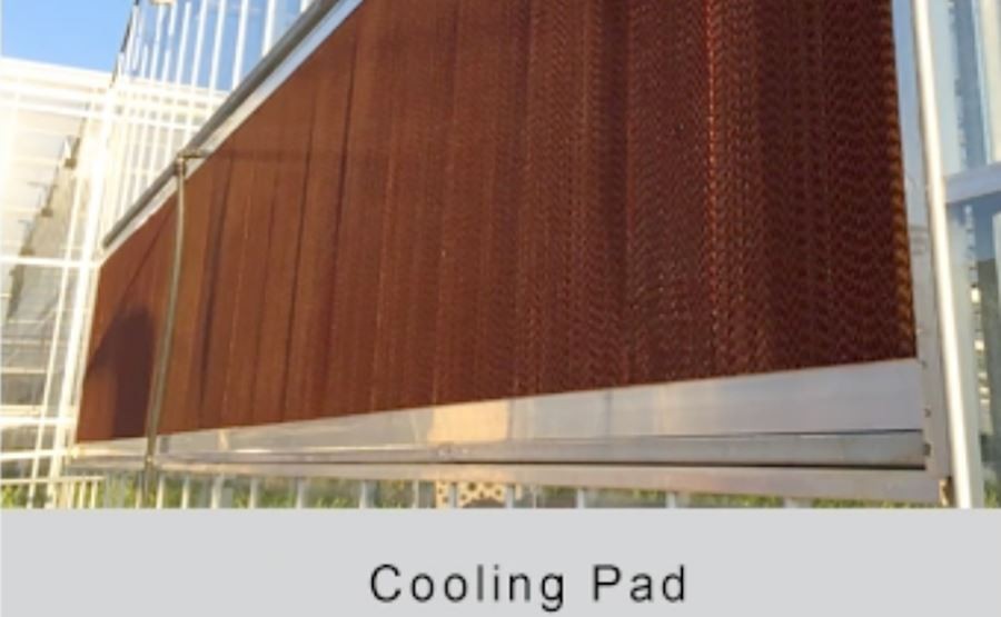 small polythene greenhouse supplier