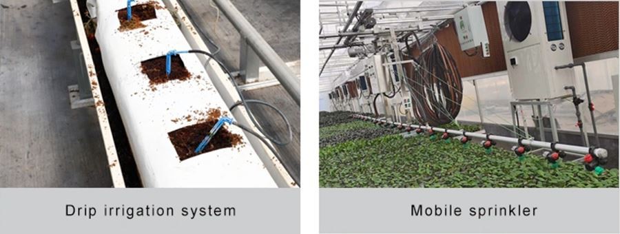 cheaper small polythene greenhouse