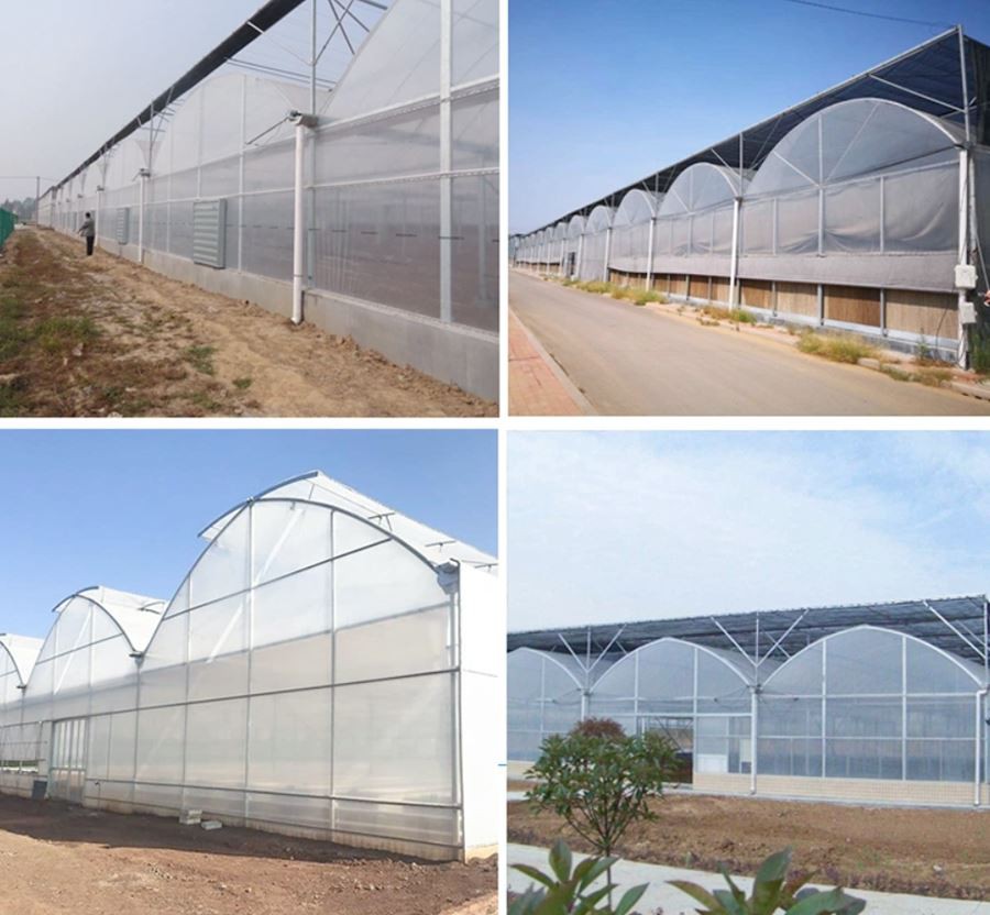 heavy duty greenhouse covers made in china
