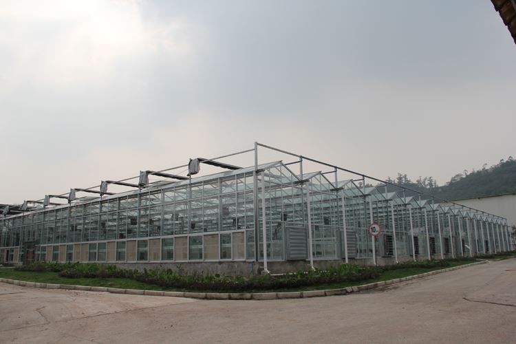 What is an intelligent greenhouse