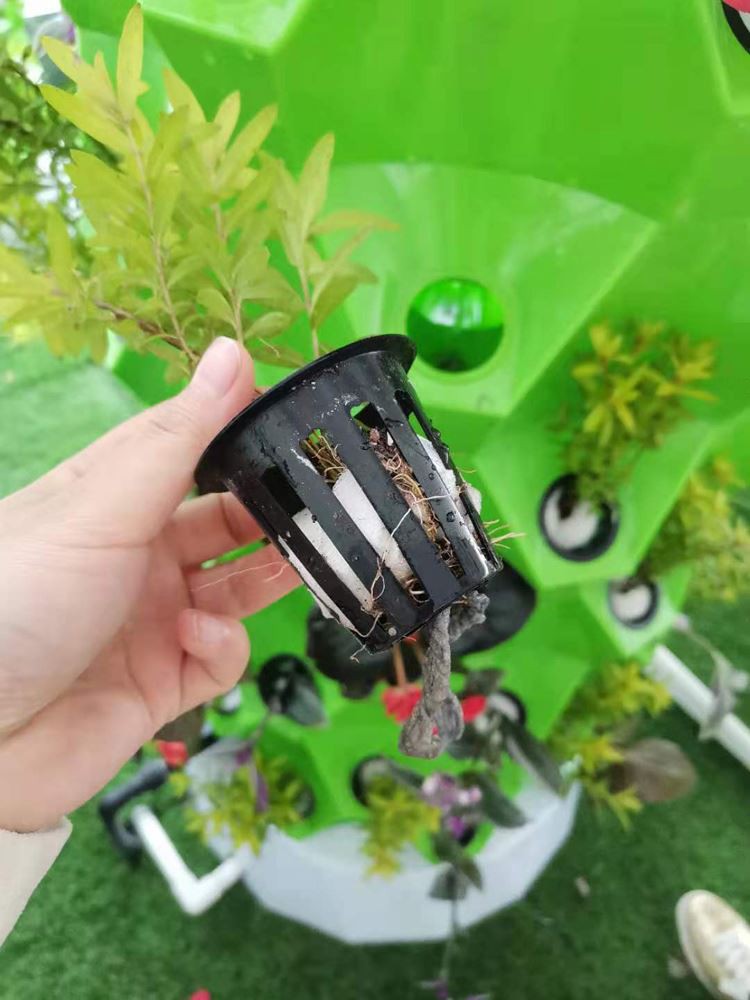 plastic greenhouse plastic greenhouse