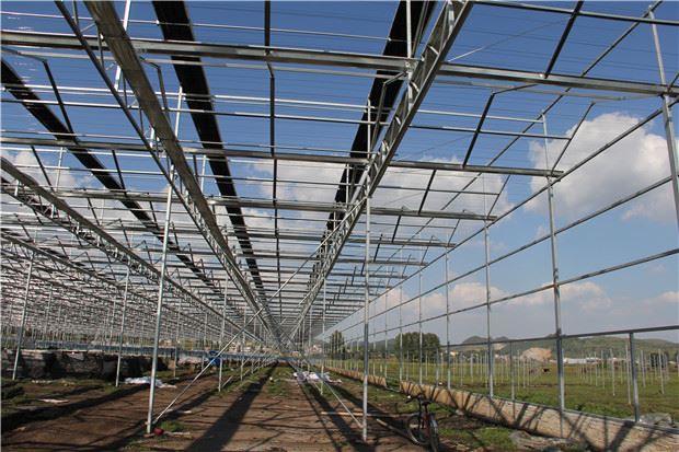 Glass Greenhouse