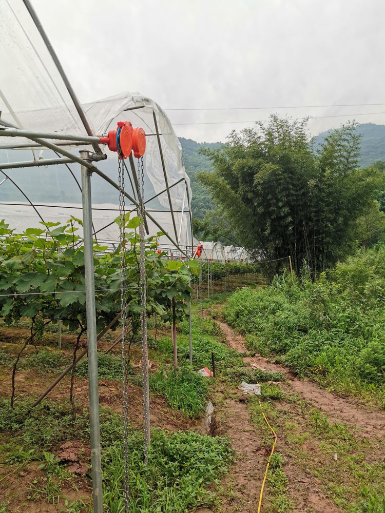 Rainly Greenhouse