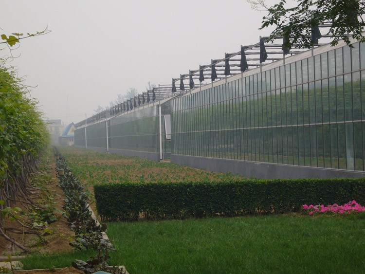 Glass Greenhouse