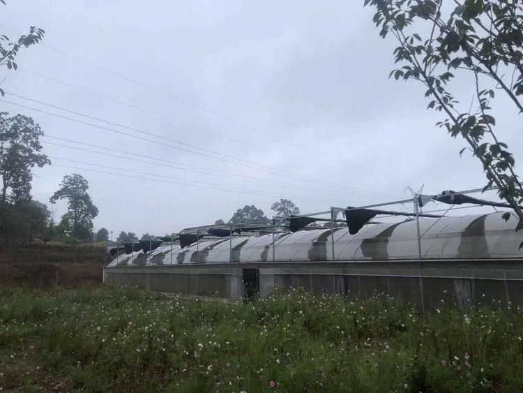 How to use the construction of vegetable greenhouse to improve economic benefits How to use the construction of vegetable greenhouse to improve economic benefits