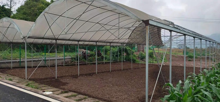 Flexible watering while watching the sky during the construction of a solar greenhouse with columns