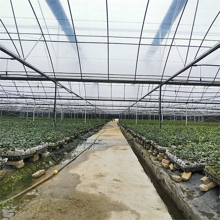 homebase plastic greenhouse covers factory