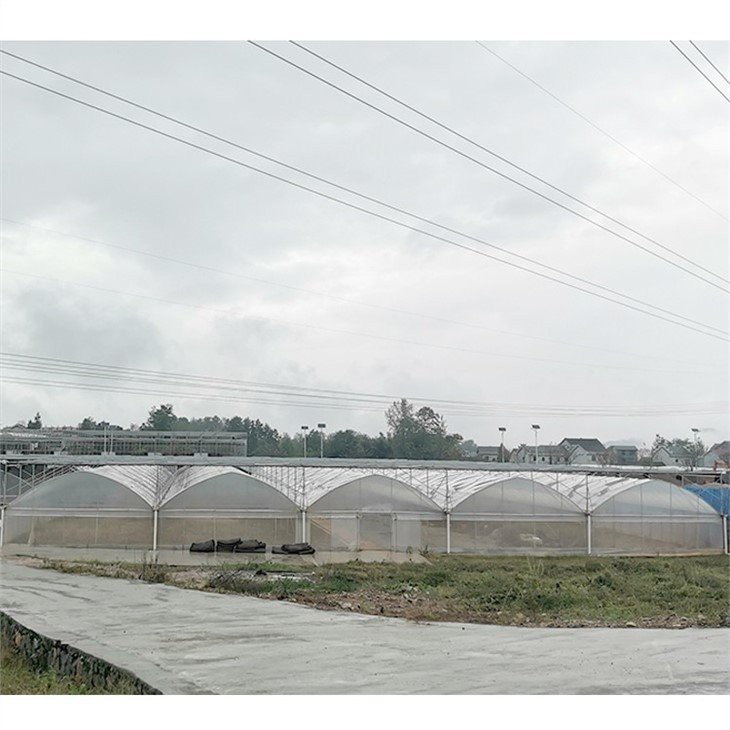 homebase plastic greenhouse covers supplier